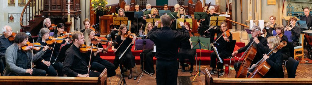 Dorking Chamber Orchestra