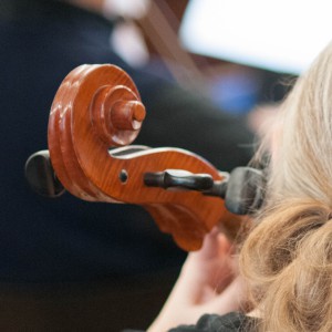 Dorking Chamber Orchestra Gallery Photos by Alexander White Photography (114)   